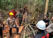 Kapolda Riau: Kayu Ditebang Dibakar Lalu Jadi Kebun Sawit