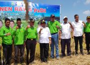 Wabup Bersama Sekdaprov Riau Lakukan Panen Raya Padi di Desa Bina Maju Rangsang Barat