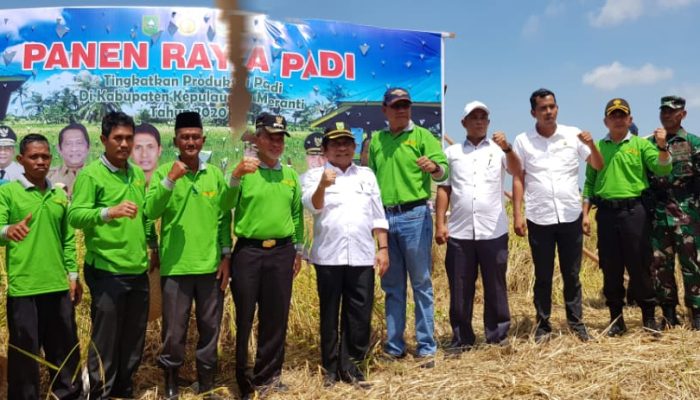 Wabup Bersama Sekdaprov Riau Lakukan Panen Raya Padi di Desa Bina Maju Rangsang Barat
