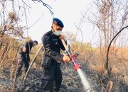 BKO Polda Riau Turun, Begini Kondisi Karhutla Di Meranti