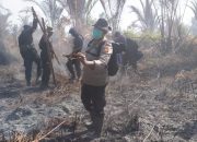 Ini Kendala Dilapangan Dalam Menghadapi Karhutla Di Meranti Selama 7 Hari