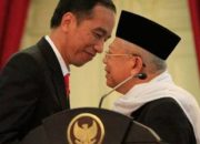 Isu Kudeta Merangkak Berembus, Firman Daeli Sarankan Pembantu Kabinet Loyal Pada Jokowi