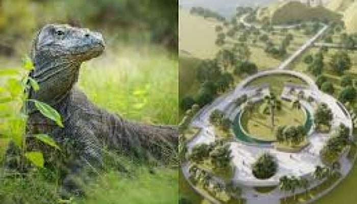 Proyek Pembangunan Destinasi Wisata “Jurassic Park” Di TN Komodo Menuai Kontroversi Dan Penolakan Di Media Sosial