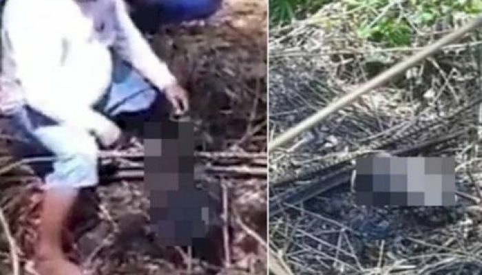 Hasil Hubungan Diluar Nikah, Video Bayi Dibakar Hidup-hidup Hingga Gosong Beredar