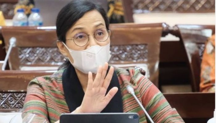 Gairahkan Dunia Usaha Dan Investasi, Wajib Pajak Orang Pribadi Diperjelas Lewat RPP UU Cipta Kerja