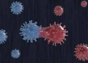Jenis Virus Covid-19 Baru Lebih Bahaya!! Pemerintah Imbau Masyarakat Tingkatkan Kewaspadaan Dengan 3M