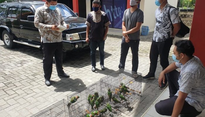 Posting Jual Beli Satwa Dilindungi Di Medsos, Oknum ASN Pemprov Riau Diamankan Polisi