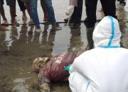 Penemuan Sosok Mayat Di Pinggir Pantai Gegerkan Warga Rupat