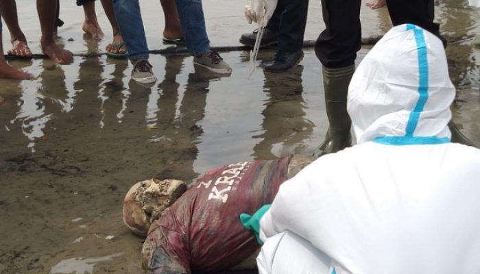 Penemuan Sosok Mayat Di Pinggir Pantai Gegerkan Warga Rupat