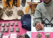 Pelaku Pengedar Narkoba Jenis Ganja Berhasil Diamankan Polres Kampar
