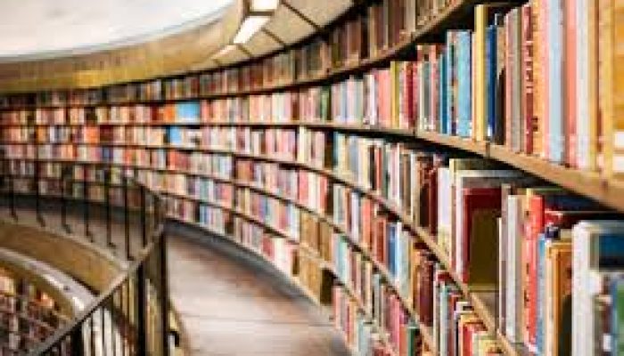 10 Kabupaten/Kota Di Riau Dapat Bantuan Rp12 Miliar Untuk Pembangunan Perpustakaan