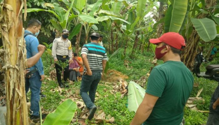 Warga Muara Fajar Rumbai Temukan Sesosok Mayat Di Kebun Pisang