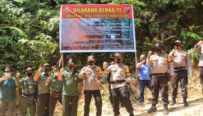 Cegah Aksi Pembalakan, Polres Kuansing dan Polres Sijunjung Giat Patroli di Hutan Lindung
