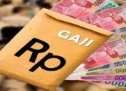 Gaji Tenaga Kontrak dan THL Diskes Pekanbaru Tertunggak 3 Bulan Belum Di Bayar