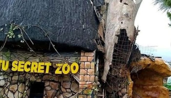 Gempa Berkekuatan 6.7 Magnitudo Mengguncang Malang, Puluhan Bangunan Rusak Parah