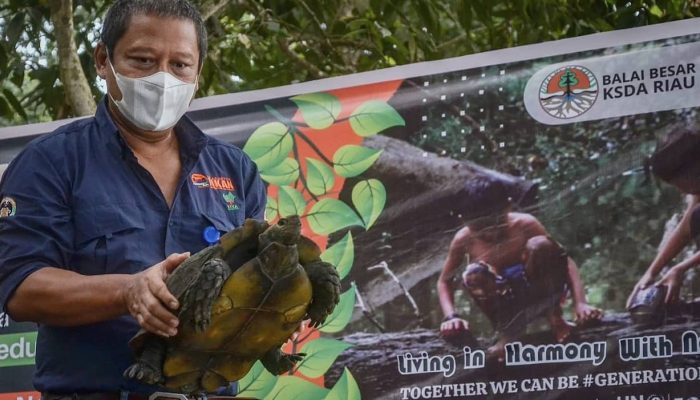 Hari Lingkungan Hidup Sedunia, BBKSDA Riau Lepasliarkan Puluhan Satwa Ke Alam Bebas