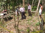 Tak Kunjung Pulang, Warga Pelalawan Ditemukan Tewar Tertimpa Pohon