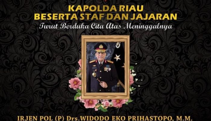 Innalillahi Wa Innailaihi Rojiun, Mantan Kapolda Riau Irjen Pol Purn Widodo Eko Prihastopo Meninggal Dunia  