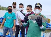 Bupati HM Adil Tinjau Fasilitas Pengembangan Kakap Putih di Meranti