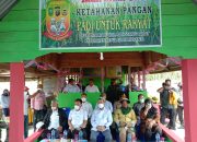 Wabup Meranti Dampingi Gubenur Riau Saat Kunker ke Desa Bina Maju Dalam Peresmian Tanam Padi Unggul