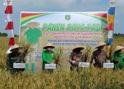 Ikut Panen Raya Desa Kedabu Rapat, Bupati Ajak Petani Tingkatkan Hasil Produksi