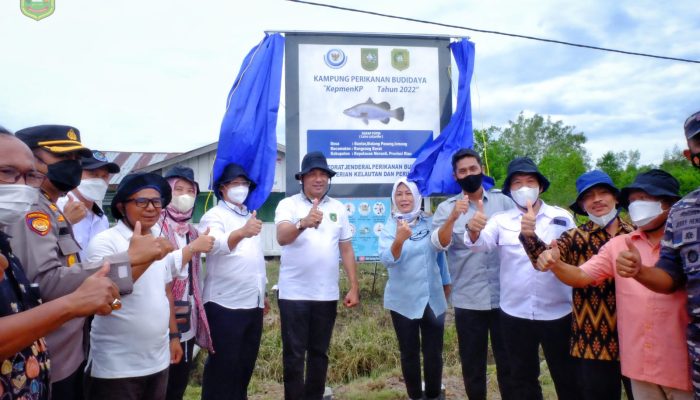 H.M Adil Bersama Direktur Jenderal Perikanan Indonesia Kementrian Kelautan dan Perikanan Panen Raya Kakap Putih di Desa Sialang Pasung Rangsang Barat