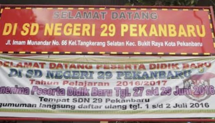 Dikonfirmasi Terkait Tenaga Pendidik, Diduga Kepsek SDN 29 Pekanbaru Gagal Paham dan Gagal Fokus