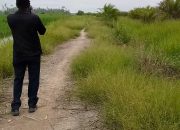 PT Alona Diduga Serobot Lahan Masyarakat, Pemkab Inhil Diminta Turun Tangan
