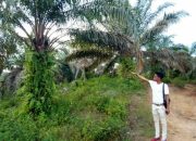Usai Diberitakan Terkait Kebun Sawit, Suhardiman Amby Munculkan Foto Wartawan Untuk di ‘Adu Domba’