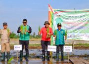 Bupati Adil Tanam Padi dan Resmikan Kilang Nanas