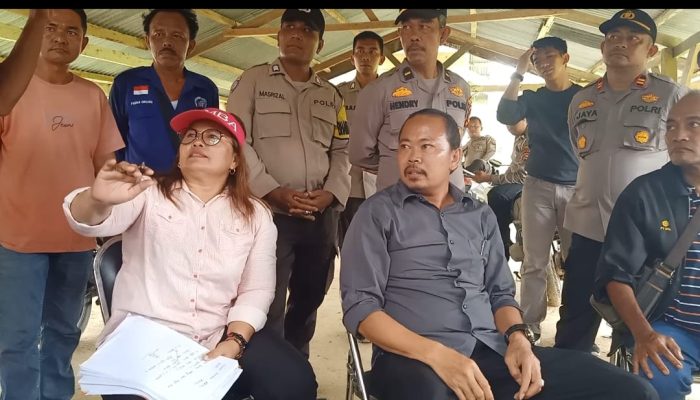 Hak Terjajah, Masyarakat Pasir Ringgit Panen Lahan Pola KKPA