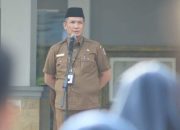 Alek Kurniawan : ” Kita Akan Lakukan Penertiban Reklame “
