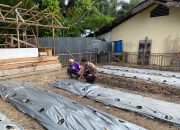 Polsek Cerenti Dukung Program ASTA CITA dengan Persiapan Penanaman Cabai di Lahan Percontohan