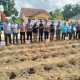 Fokus Program Ketahanan Pangan Desa Sumber Jaya 2025, Jagung Pipil dan Pengembangan Perikanan