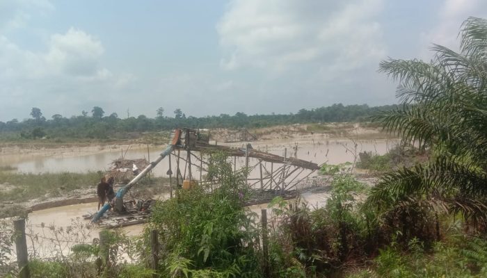 Peti Menggila Di Kuantan Hilir Seberang, APH Jadi Penonton