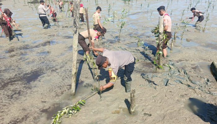 Green Policing di Rangsang Pesisir: Polres Meranti dan Pramuka Tanam Mangrove Cegah Abrasi